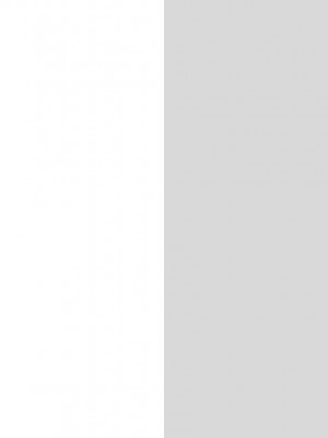 [一日三錠 (神宮)] F夫妻の子作りミッション！ (SPY x FAMILY)_15