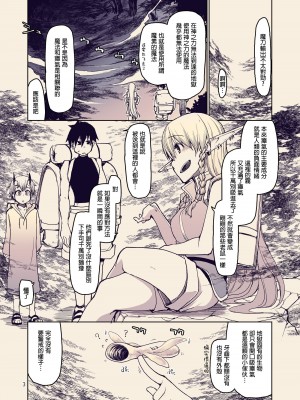 [めたもる (りょう)] ドスケベエルフの異種姦日記 10 [DL版] [废欲加速汉化]_05