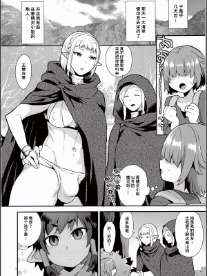 (C94) [グラナダの空 (十はやみ)] エルフ温泉 [潇洒个人汉化]_03