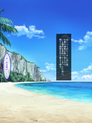 [クレドソフィア] 寝取らせビーチで孕ませ懇願!!エロ性器に妊確ザーメン中出しされる爆乳セフレ_074