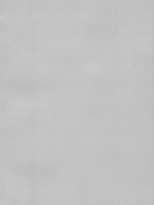 (C102) [TIES (タケイオーキ)] サキュバス病の彼女の生活 [无毒汉化组]_04