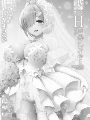 [SSB (まりりん)] 花嫁は天然長乳Hカップコスプレイヤー ～コスプレイヤーふみか総集編II～&nbsp;&nbsp;[DL版]_004