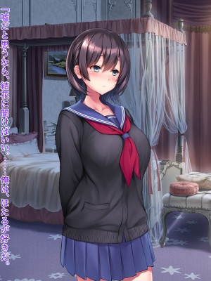 [クレージュアクセル] 姉妹ノ楽園～俺の事が大好きすぎる爆乳姉妹とドスケベ禁断同棲性活♥～_0724