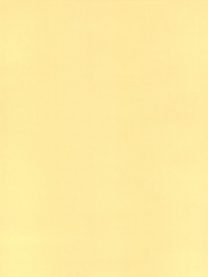 (秋季例大祭8) [Satellites (サテツ)] 妹様とM従僕♥♥ (東方Project)_02