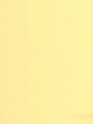 (秋季例大祭8) [Satellites (サテツ)] 妹様とM従僕♥♥ (東方Project)_15