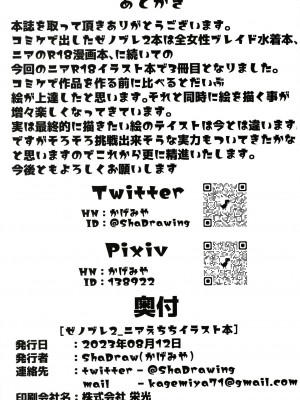 (C102) [ShaDraw (かげみや)] ニアえちちイラスト本 (ゼノブレイド2)_19