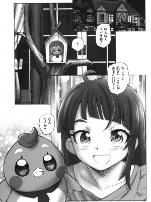 (C102) [黒鹿亭 (海野螢)] ツバサをください (ひろがるスカイ!プリキュア)_04