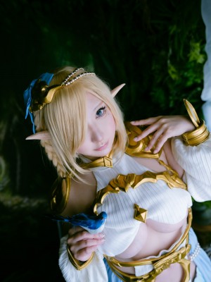 [Shooting Star's (Saku)] - Elf Village_244