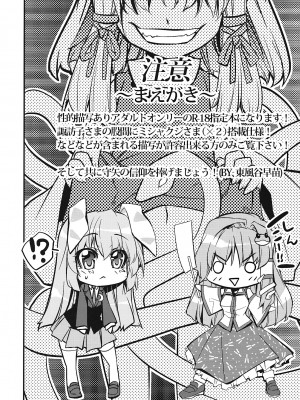 (例大祭8) [r;1 (壱河柳乃助)] さなえうどん1玉 (東方Project) [79%汉化组]_04