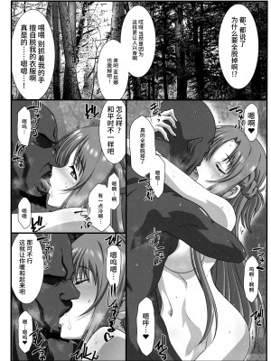 (C100) [STUDIO TRIUMPH (むとうけいじ)] アストラルバウトVer.45 (ソードアート・オンライン) [不咕鸟汉化组]_04