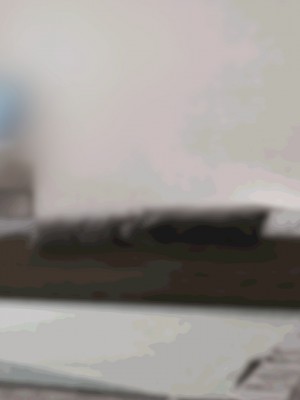 [ふたわーくす] 脱いだら凄い白黒ギャルと俺の部屋で入り浸りの生ハメ性活！！_325