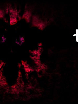 [diletta (ももちゃんあたっくさん)] 俺の事ご主人様と呼んでくれるランキング最下位のエロ可愛い美少女淫魔と七日間の搾精契約_0694