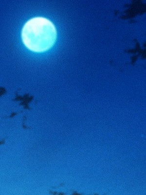 [diletta (ももちゃんあたっくさん)] 俺の事ご主人様と呼んでくれるランキング最下位のエロ可愛い美少女淫魔と七日間の搾精契約_0468