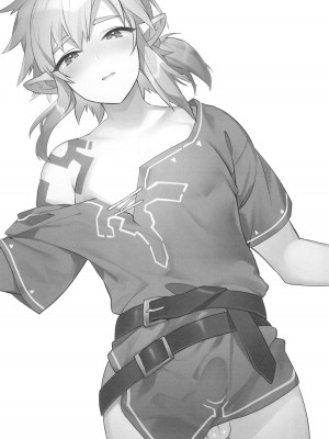 (C102) [Ash wing (まくろ)] コンラン勇者 (ゼルダの伝説 ブレス オブ ザ ワイルド)_03