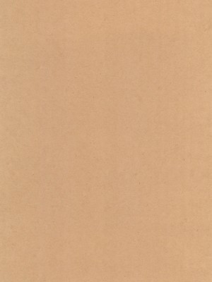 (C102) [平成茶々丸堂 (N.O-茶々丸)] 日焼けが気になる先生が_03