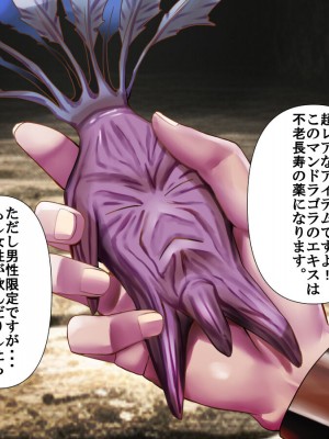 [ P・ボックス (スウィッチ01)] 輪姦される勇者の妻 寝取られのダンジョン_031