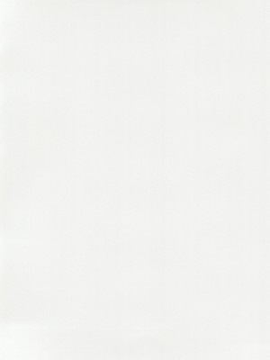 (C102) [トヤスアイナ (十安愛七)] あなたの理想の堕ち◯ぽヒロイン (ラブライブ!虹ヶ咲学園スクールアイドル同好会)_04