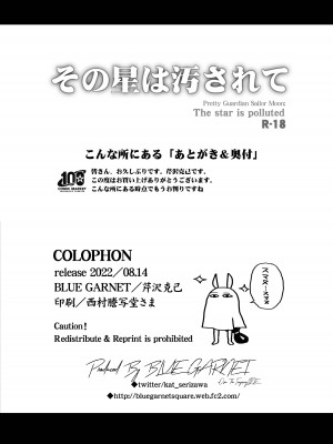 (C100) [ブルーガーネット (芹沢克己)] その星は汚されて (美少女戦士セーラームーン) [DL版]_04