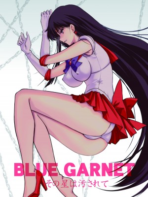 (C100) [ブルーガーネット (芹沢克己)] その星は汚されて (美少女戦士セーラームーン) [DL版]_22