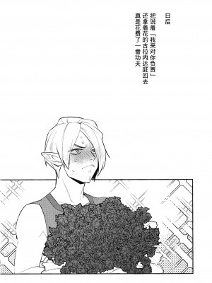 (C102) [Ash wing (まくろ)] コンラン勇者 (ゼルダの伝説 ブレス オブ ザ ワイルド) [逃亡者×真不可视汉化组]_23