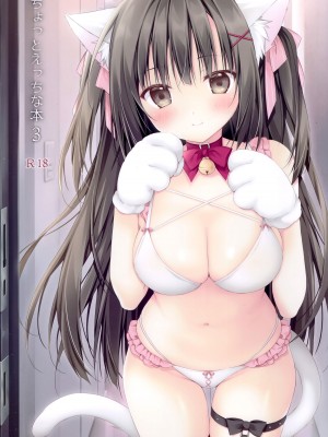 (C99) [無人少女 (梱枝りこ)] ちょっとえっちな本3_01