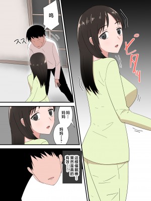 [テンプレチャー] 母さんは意のママ [中国翻訳]_019