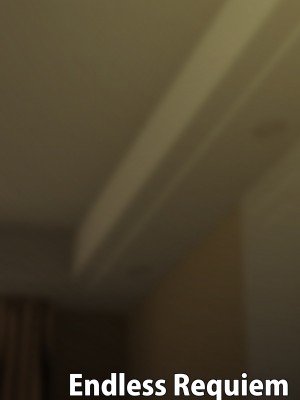 [Endless Requiem (yasha)]&nbsp;&nbsp;メゾン・ド・サキュバス_54