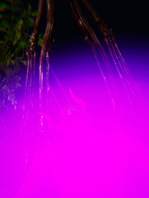 [听话的阿伟] 魔堕之欲（完）_0998