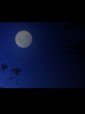 [X36丸ボックス] 高根の華の彼女に拾われて～褐色ギャル妃アリサ_042