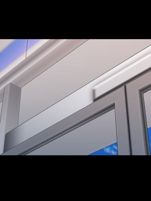 [X36丸ボックス] 高根の華の彼女に拾われて～褐色ギャル妃アリサ_271