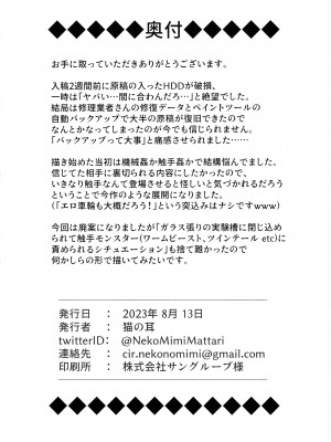 (C102) [猫の耳 (猫の耳)] 閃刀姫開発実験 (遊☆戯☆王OCG)_30