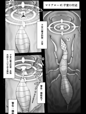 [火と身 (第九遺物オレンジ)] 魔女が触手と蟲に寄生されて子宮と人生をめちゃくちゃにされる話 [DL版]_05