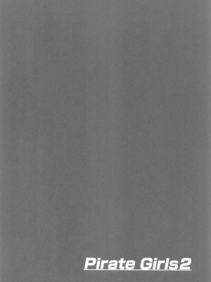 (C102) [TOPGUN (プリプリJET)] Pirate Girls 2 (ワンピース) [中国翻訳]_03