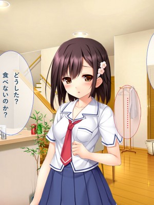 [リメーションメイド] 妹が好きすぎる兄貴が彼氏から寝取る_041