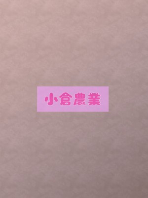[小倉農業 (しいにゃん)] ねぇねぇ弟くんっ!お姉ちゃんにする？お姉ちゃんにする？それとも・・・お・ね・え・ちゃ・ん？ (プリンセスコネクト!Re：Dive) [DL版]_22