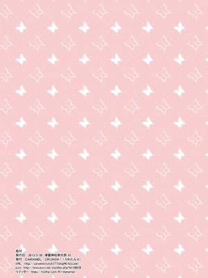 [CARAMEL CRUNCH! (りかたん☆)] フランちゃんとおふろでぬるぬるソーププレイ (東方Project) [DL版]_13