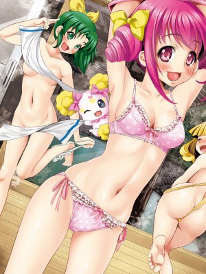 [メタボ喫茶異臭騒ぎ (いたちょう, カキコ)] れいかちゃんちのジジィと茶飲み友達 (スマイルプリキュア!) [DL版]_17