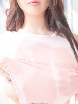 PhotoChips Vol.99 - No.19 Bokbunjajoo (복분자주)_PhotoChips-Vol.99-No.19-Bokbunjajoo-MrCong.com-007