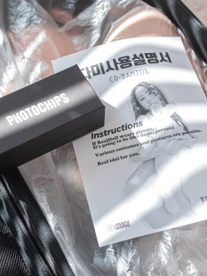 PhotoChips Vol.109 No.13 Dami (퀸다미)