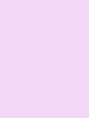 [くまたんFlash! (熊尾もふもふ)] わたしのしらないおじさん [DL版]_02