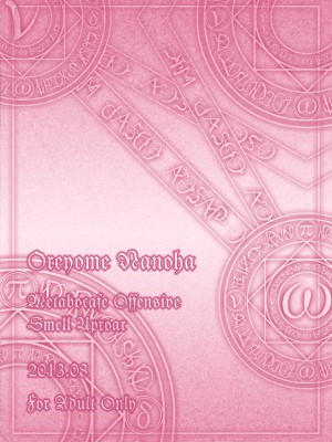 [メタボ喫茶異臭騒ぎ (いたちょう)] 俺嫁なのは (魔法少女リリカルなのは) [中国翻訳] [DL版]_28