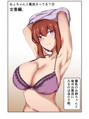 [石ケンピ (イッシー13)] ねぇちゃんと風呂入ってる？(2)_46