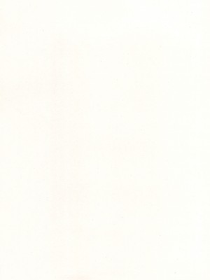 (C102) [シロの家 (よちき)] リオちゃんはおとされたい。 (ブルーアーカイブ)_03