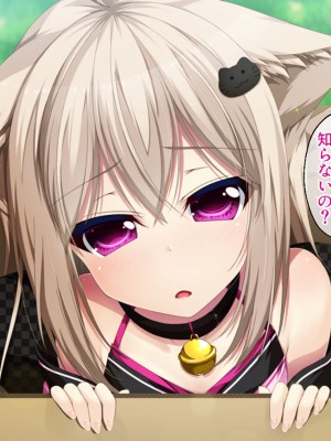 [どろっぷす! ] ねこ神様の結婚 ～田舎でにゃんにゃん搾精ライフ～_004