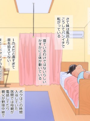 [たけし] 小型カメラで妹を盗撮したら_085
