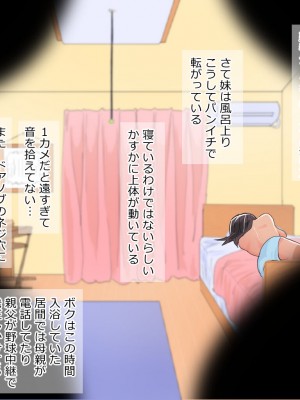 [たけし] 小型カメラで妹を盗撮したら_026