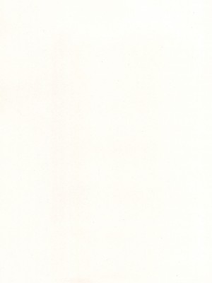 (C102) [シロの家 (よちき)] リオちゃんはおとされたい。 (ブルーアーカイブ) [中国翻訳]_02