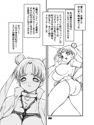 (C63) [STUDIO VANGUARD (水無月十三)] SM (美少女戦士セーラームーン)_24