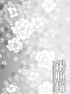 (C86) [H.A.O (トム)] 銀瓶梅・○平のせいさいよだつ (真・三國無双)_02