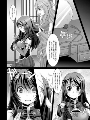 (C86) [H.A.O (トム)] 銀瓶梅・○平のせいさいよだつ (真・三國無双)_05